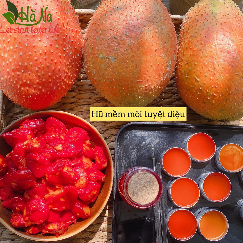 Dưỡng Môi Lip balm Gấc 15 gr - Tinh Dầu Hà Na - Dưỡng Ẩm Mềm Môi - Giảm thâm môi
