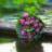 oanh_nhatrang