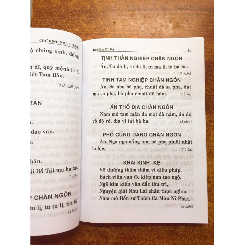 Ảnh Sách - Chư Kinh Nhật Tụng 2
