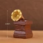 Mini Dễ Thương Các Bức Tượng Nhỏ zakka Mini Làm Vườn Cây Cảnh Búp Bê Nhà Decorati Nhựa Orname Pitta Trang Trí Sân Vườn Trang Trí