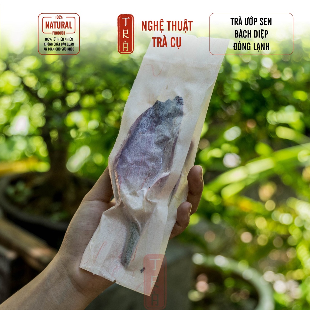 Trà ướp sen bách diệp, trà sen, 1 gói 1 búp