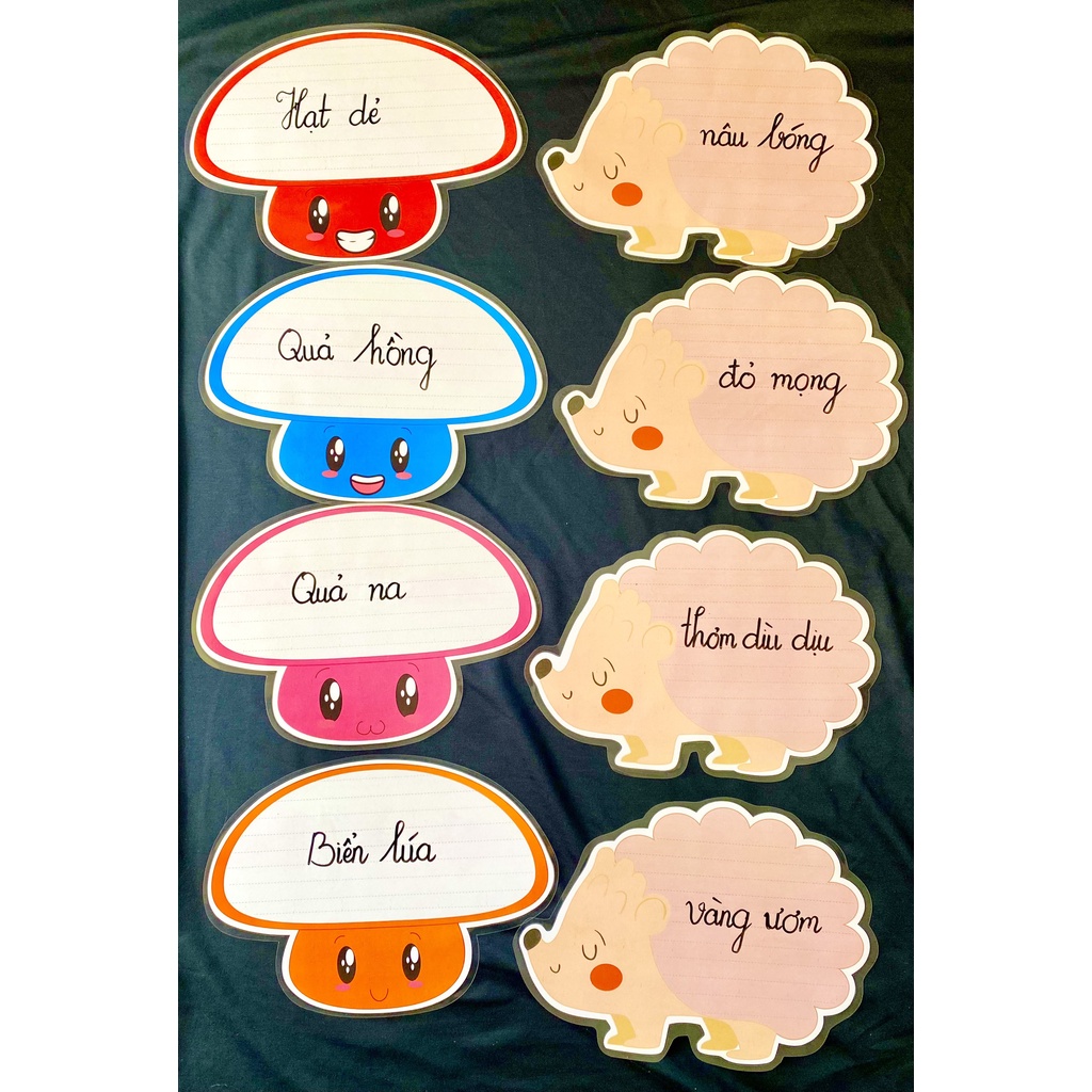 Bộ Nhím & Nấm Đáng Yêu (Đồ Dùng Dạy Học MIKI)