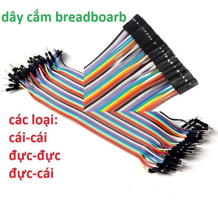 Dây bus 40P 10CM - 20CM (40 sợi) | Shopee Việt Nam