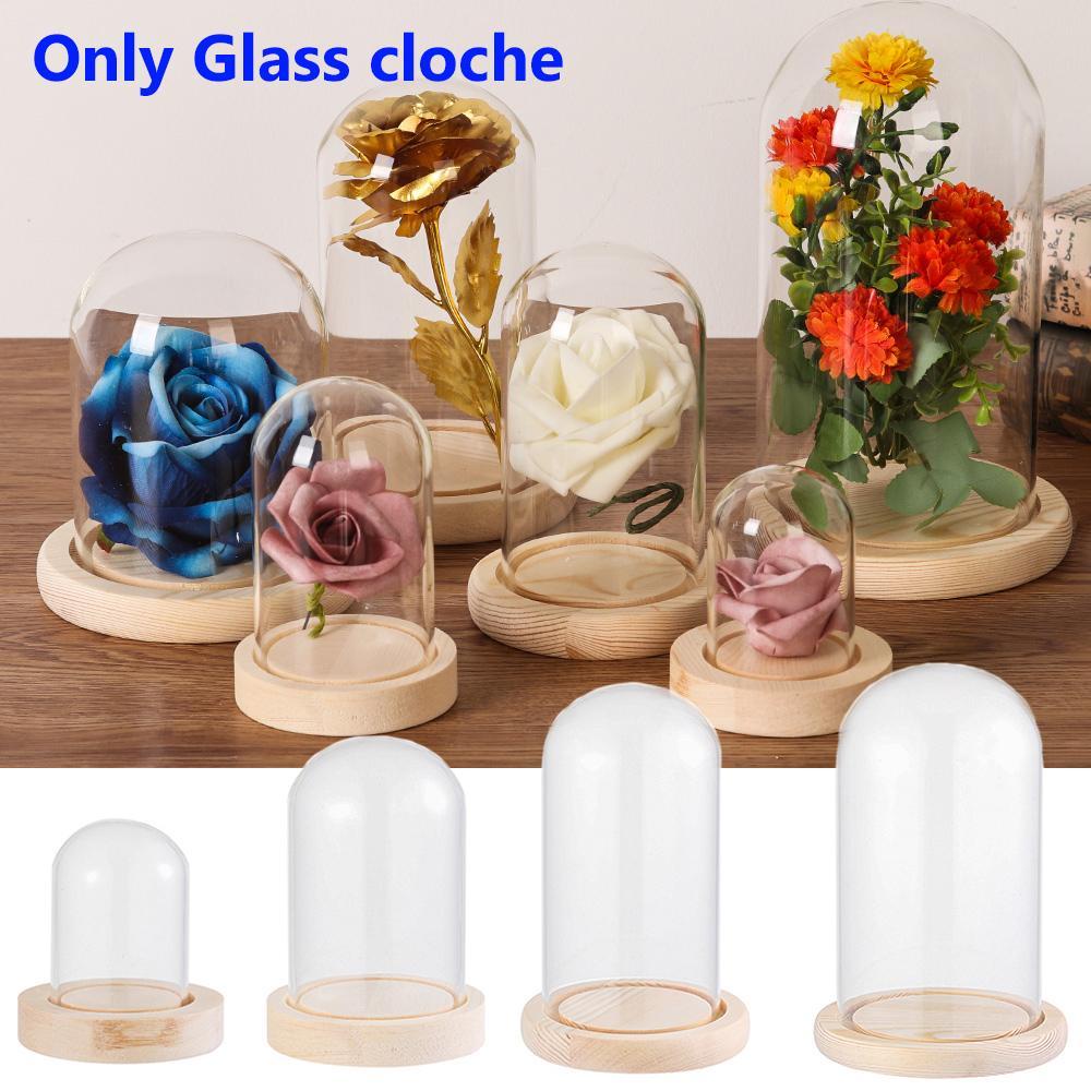 BAMBOOB Kính cloche Cây Trang Trí Nhà Terrarium Trong Suốt Bình Thủy Tinh Hoa Hộp Bảo Quản