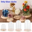 FAVORITEGOODS Bụi Cây Cổ Tích Đèn Trong Suốt Bình Thủy Tinh Bình Hoa Hộp Bảo Quản Hoa