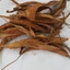Cây thạch vĩ khô thượng hạng JINDO 1kg