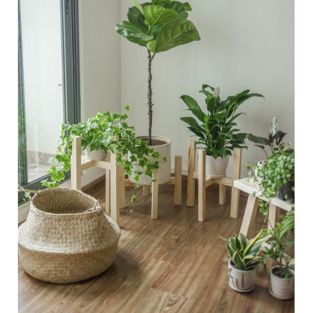Ảnh Đôn gỗ đựng cây cảnh Behomes 1