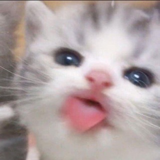 ngoc_huyen1809