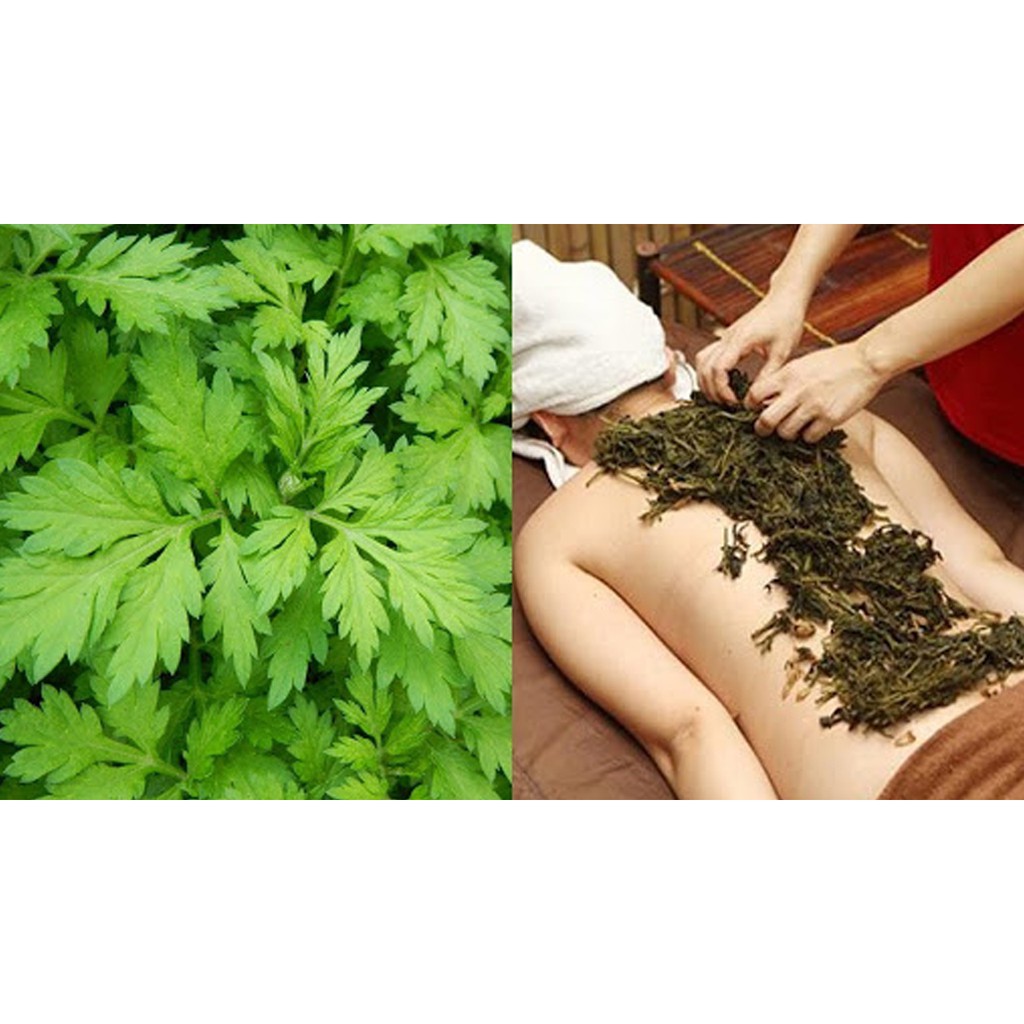 Ngải cứu khô thượng hạng JINDO 1kg giúp hỗ trợ kinh nguyệt không đều, đau bụng