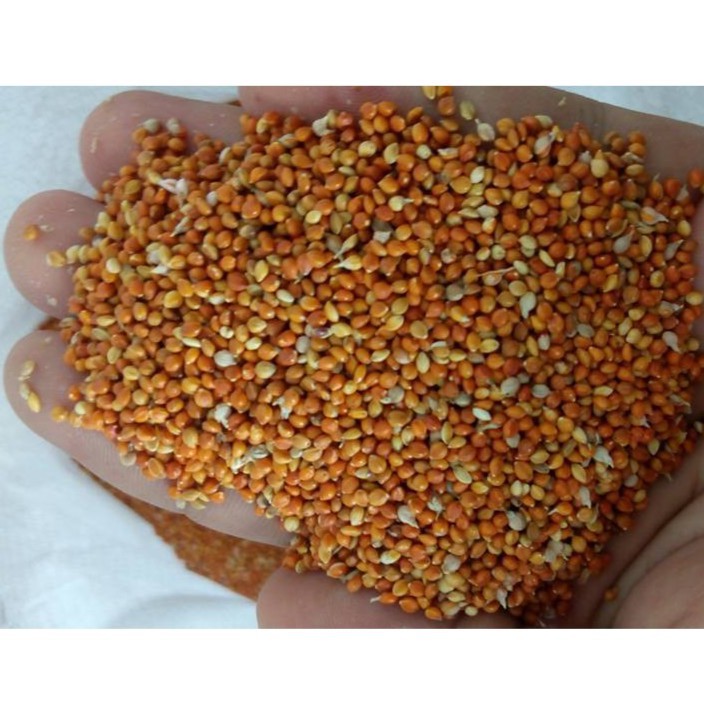 H t K Nh 500g Cho Cu G y Y n H t Manh Manh Shopee Vi t Nam
