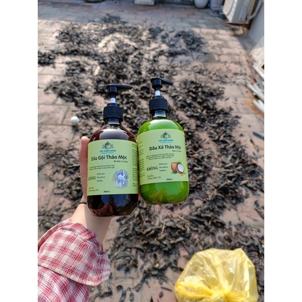 Dầu Gội Bồ Kết Thảo Dược Cô Đặc HandMade 500ML Giúp Sạch Gàu, Giảm Ngứa, Mọc Tóc Hiệu Quả 🔸 Anna Home