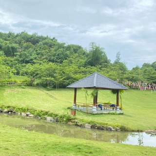 minh_hoa_9999