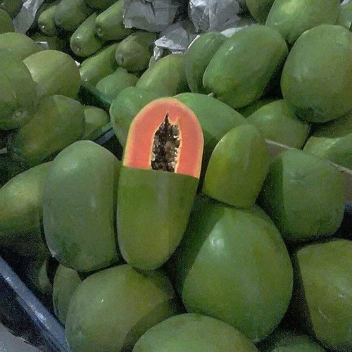 Hạt giống đu đủ ruột gấc