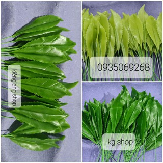 Lá đào xanh(50 lá)