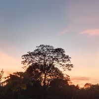 m.hang_0106