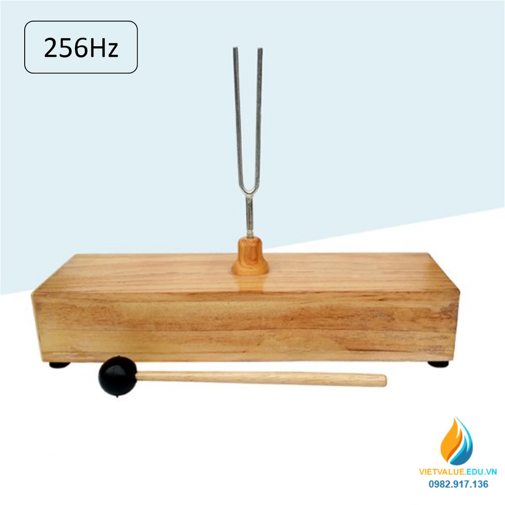 Âm thoa dao động tạo tần số 256Hz, âm thoa vật lý gồm búa cao su đi kèm ...
