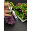 Ốp chìa khóa-bọc chìa khóa TPU Mạ Inox xe ô tô KIA Sorento 2022 KIA K3,K5 2022 Smart Key loại 4 nút khóa cạnh sườn