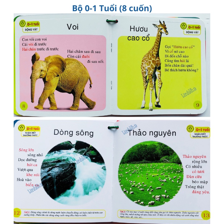 Ảnh Sách - Bách Khoa Toàn Thư - Dạng Tập Mỏng Xâu Khoen Cho Các Bé Nhỏ 3