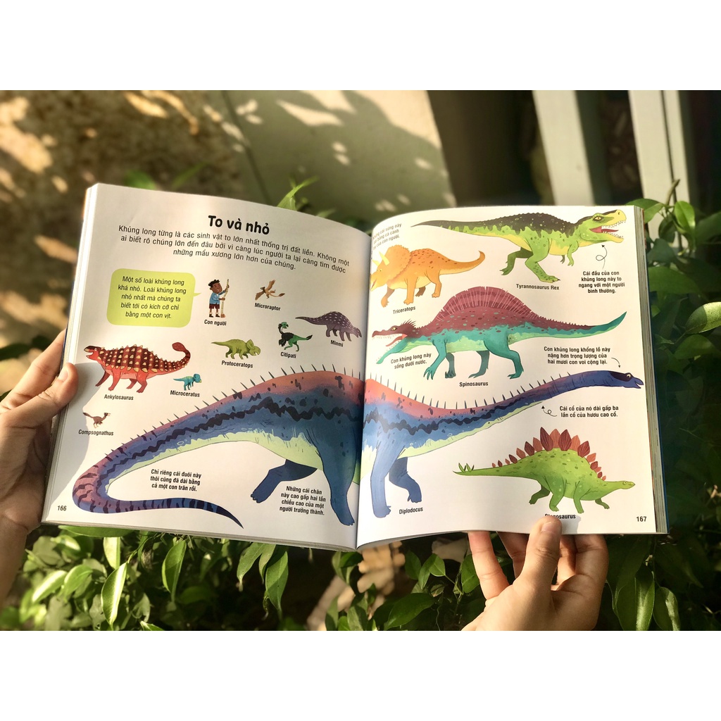 Ảnh SÁCH - Bách khoa tri thức cho trẻ em - Usborne 4