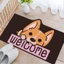 Combo 2 cái Thảm chùi chân chống trượt nhiều hình 60x30cm