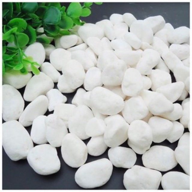 Đá sỏi trang trí chậu cây (Loại Vừa) - 500g