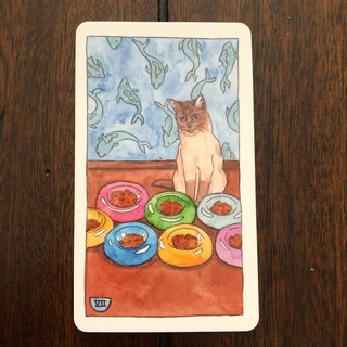 Bộ Bài Cat Tarot (Mystic House Tarot Shop) - Bài Gốc Authentic Chính Hãng 100%