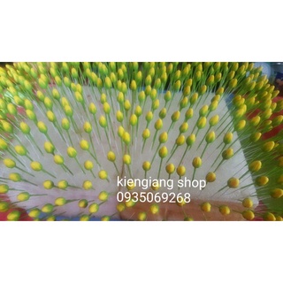 combo nụ và lá mai