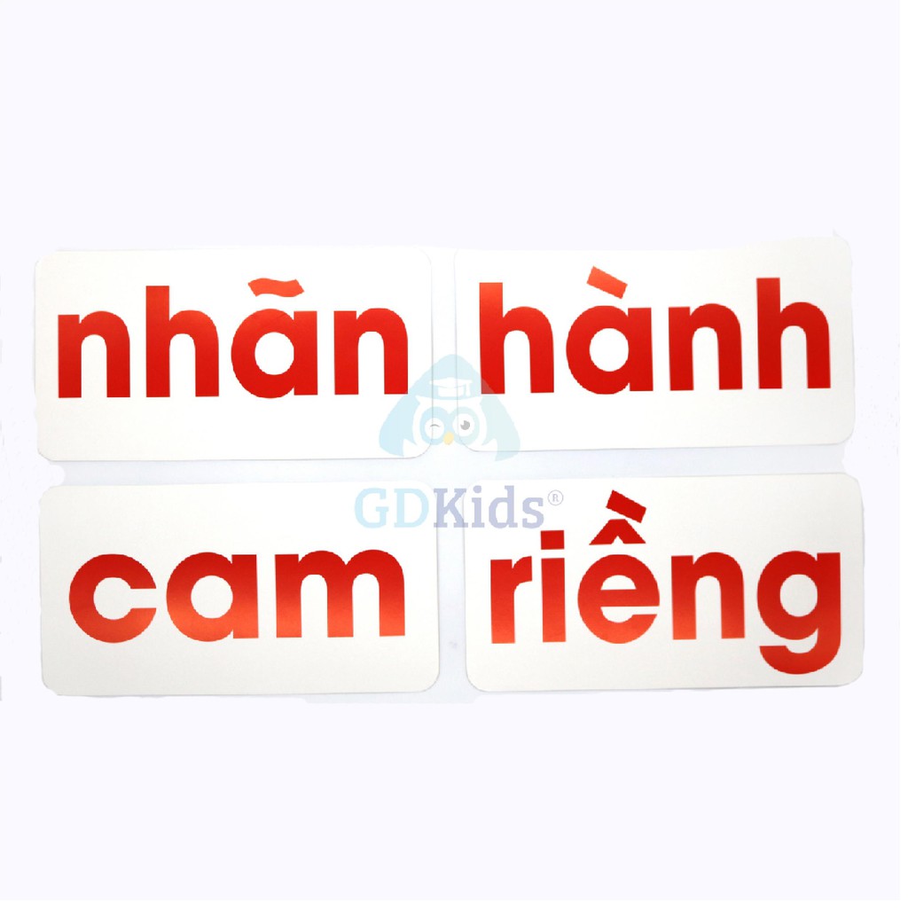 Ảnh Flashcard Glenn Doman - Bộ 100 Thẻ Học Đọc Thông Minh Phát Triển Ngôn Ngữ Cho Trẻ Từ 0-6 Tuổi 4