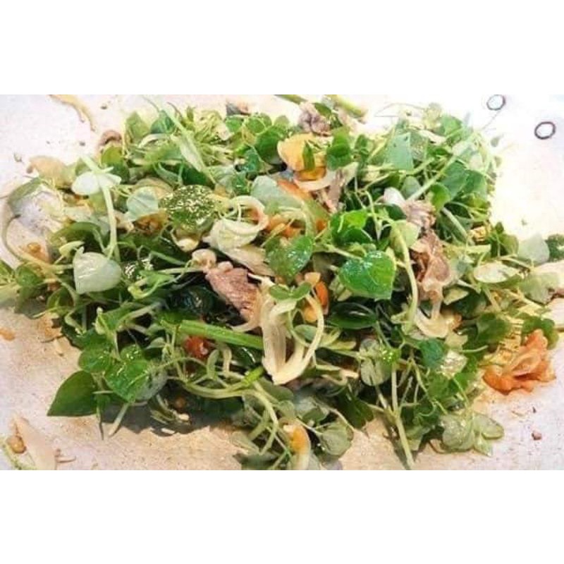2 gam Hạt Giống Rau Càng Cua 💥 Bao Nảy Mầm☘️ chất lượng cao