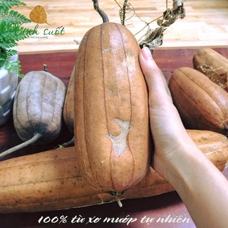 XƠ MƯỚP TẮM / ORGANIC LOOFAH / BÔNG TẮM XƠ MƯỚP TỰ NHIÊN SIZE NHỎ 8 cm * 13 cm