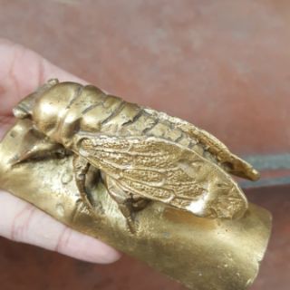 Ve Sầu Hộ Mệnh Trường Tồn Vật Phẩm Phong Thuỷ