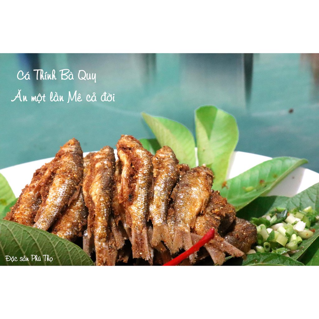 CÁ THÍNH BÀ QUY (CÁ TRÔI NHÂN ) 500g | Shopee Việt Nam