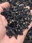 Hộp Trà Hắc Kỷ Tử Tây Tạng - Tốt Cho Sức Khỏe, Chống Oxi Hóa, Giải Nhiệt, Đẹp Da