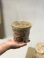 1 thung / 6 hộp Miến trùng khánh