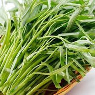 Hạt Giống Rau muống lá tre