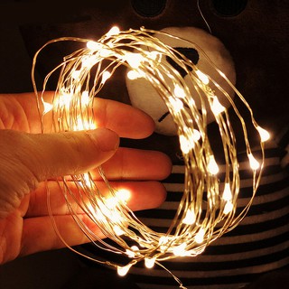 2m 5M10M Dải Đèn Led Dây Đèn Cooper Dây Đèn Giáng Sinh Cho Vòng Hoa Ngày Lễ Cổ Tích Trang Trí Tiệc Cưới