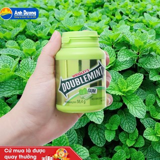 Kẹo Cao Su Doublemint Hương Bạc Hà Hũ 58.4g