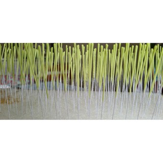 Nhụy hoa đào, hoa mai bằng đất sét(100 sp)