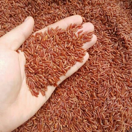1KG Gạo Lứt Huyết Rồng Loại 1- Gạo lứt cho người ăn kiêng - Gạo lứt cho người tiểu đường