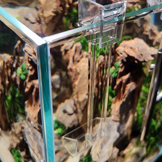 Ống Đựng Thức Ăn Cho Tôm Cá Bằng Acrylic Tiện Dụng
