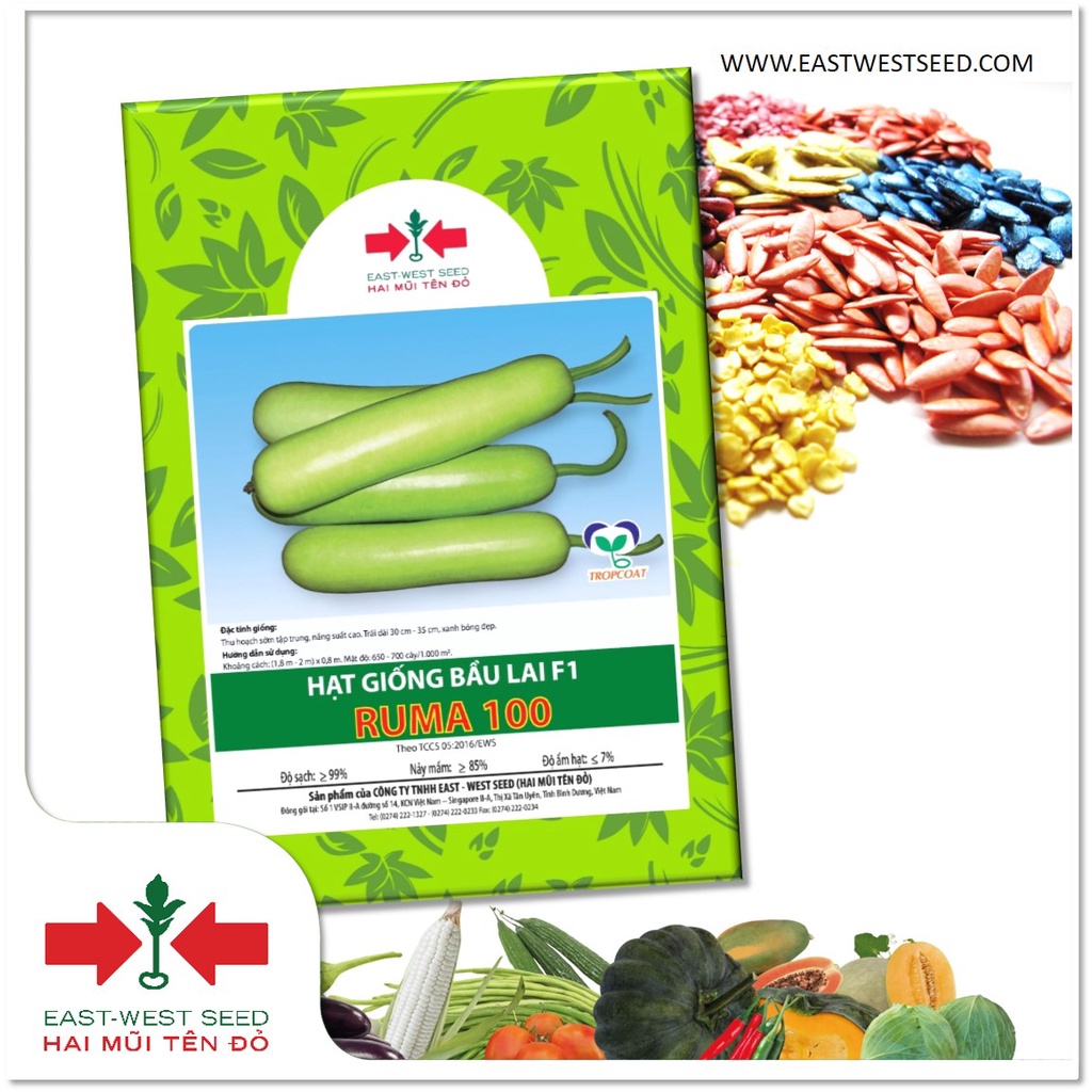 GÓI 20 HẠT BẦU RUMA 100 CỦA EAST-WEST SEED (HAI MŨI TÊN ĐỎ) | Shopee ...