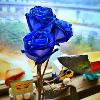 realllllzz_