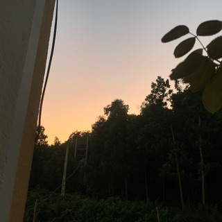 luongha__1214w