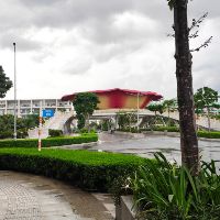 codailila
