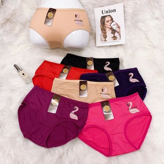 Quần lót nữ cotton thông hơi ôm mông set 10 chiếc cho chị em