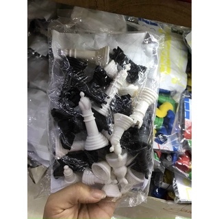 Cờ vua cá ngựa túi