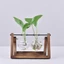 VVDZA Bình Thủy Tinh Trang Trí Terrarium Để Bàn Chậu Hoa