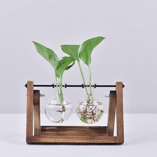 Bình trồng cây thủy canh JUIC Vintage Terrarium Để bàn Planter Khung gỗ