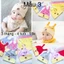 SET KHĂN + MŨ SIÊU ĐÁNG YÊU CHO BÉ (3 THÁNG - 4 TUỔI)