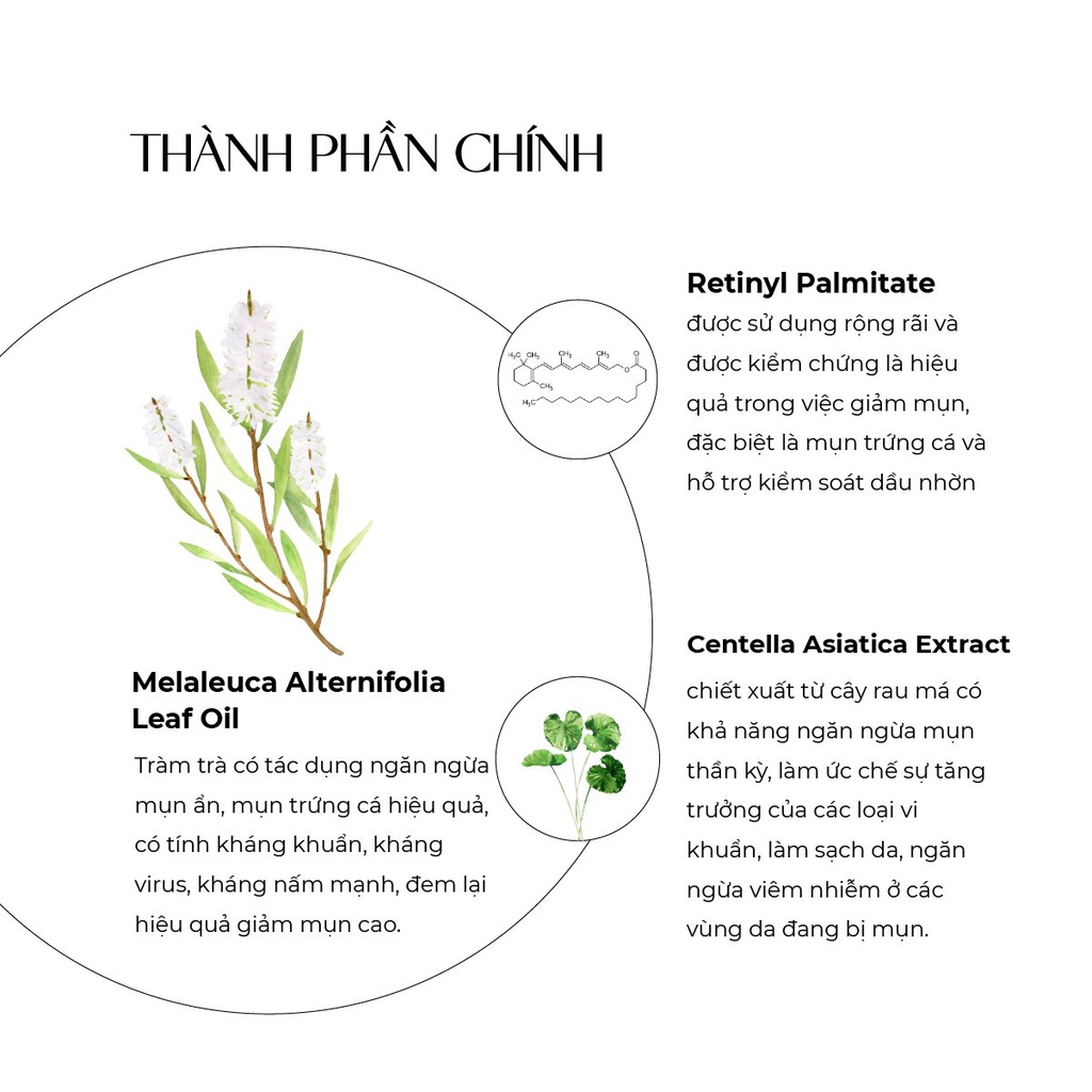 Ảnh Tinh chất chấm mụn Truesky Tea Tree Oil chiết xuất tràm trà 10ml 2